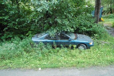 Alaskan vegetation taking over an abandoned car