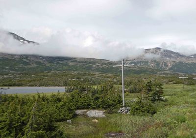 Abandoned power poles along the White Pass & Yukon Railroad Route