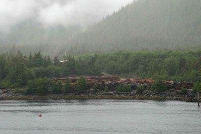 Foggy morning on the Clarence Strait on the way to Ketchikan