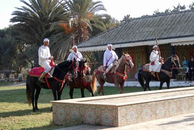 Horses and riders from demonstration at Fantasia.JPG