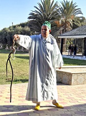 Snake Charmer at Fantasia in Agadir.jpg