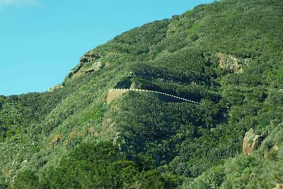 Barrier wall around hairpin turn on road across the Anaga Mountains.JPG