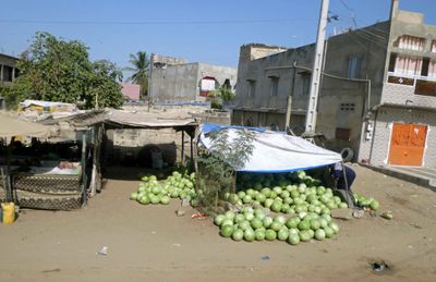 Senegal enjoyed a bumper crop of watermelons during the rainy season.JPG