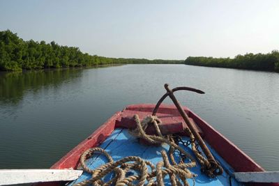 Gambia River is surrounded by Mangrove Forests.JPG