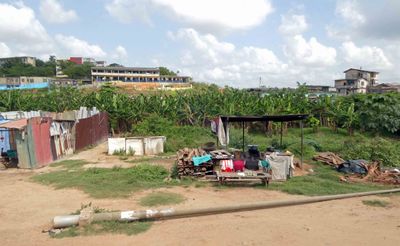 Bananas & Plantains are grown for local consumption in Ghana.JPG