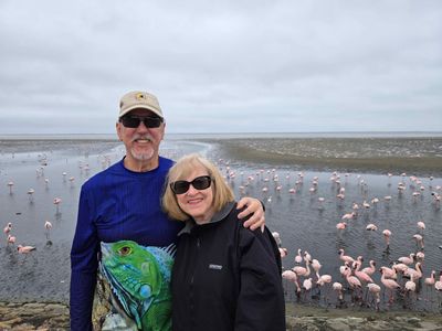 Photo stop at the lagoon in Walvis Bay, Namibia.jpg