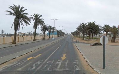 Palm tree lined highway runs 22 miles from Walvis Bay to Swakopmund, Namibia.JPG