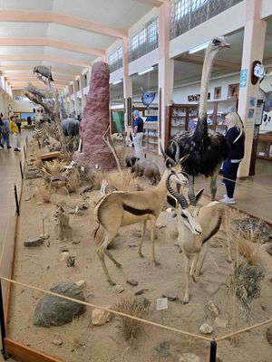 Swakopmund Museum is a privately-owned museum in Swakopmund, Namibia.jpg
