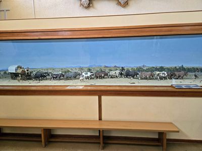 Mural depicting use of the Ox Wagon in Nambia in the 1920's.jpg
