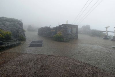 Cold, rainy, windy morning on Table Mountain in Cape Town.JPG