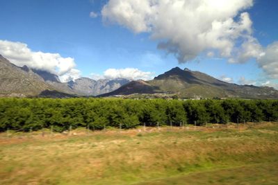South African wine has a history dating to 1659.JPG