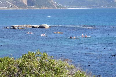 Kayakers in False Bay, South Africa.JPG