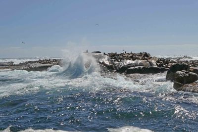 Waves crashing on Duiker Island, South Africa.JPG