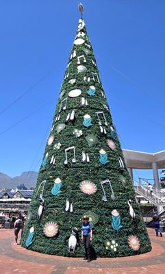 Victoria Wharf Christmas Tree in Cape Town.jpg