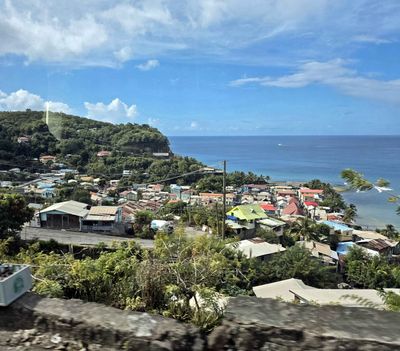 Canaries, St. Lucia