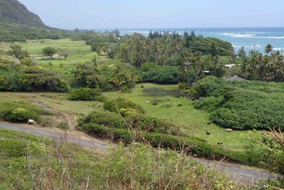 Kualoa Ranch cover 4,000 acres on the island of Oahu