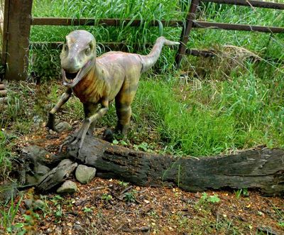 The original Jurassic Park and Jurassic World wre filmed on the Kualoa Ranch