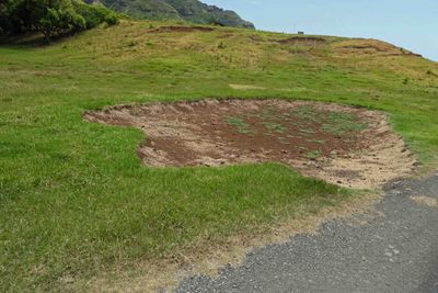 1998 Godzilla footprint at Kualoa Ranch