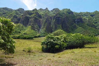 Other films at Kualoa Ranch include scenes from Jumanji, Pearl Harbor, 50 first dates, Windtalkers, and George of the Jungle