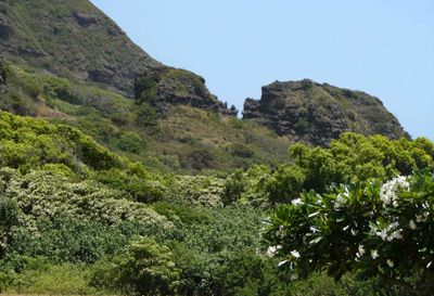 Kissing gorilla rock formation at Kualoa Ranch