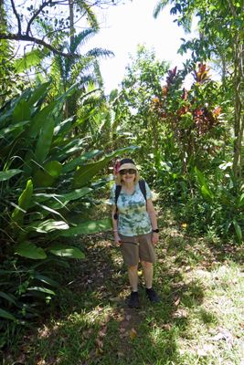Hiking through the rainforest in Maui to reach Twin Falls