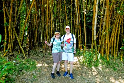 Golden bamboo in the Maui Rainforest