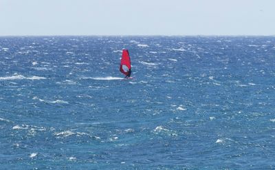 Wind surfing is a popular sport on Ho'okipa Bay, Maui