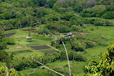 Waipio Valley, also known as the Valley of the Kings, is a sacred and historically significant valley on the Big Island of Hawai