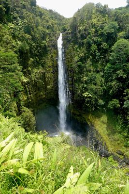 Akaka Falls is a 442 feet tall waterfall on the northeastern Hilo Coast of the Big Island of Hawaii