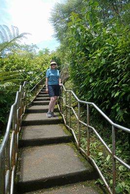 More steps on the Akaka Falls Lookout Trail