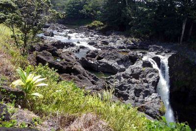 The Wailuku River feeds Rainbow Falls in Hilo, Hawaii
