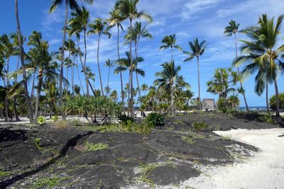 Puʻuhonua o Hōnaunau is a sacred place of refuge for those accused of vioating sacred laws of the King of Hawaii