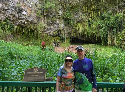 Fern Grotto acts like a natural amphitheater and a popular venue for weddings
