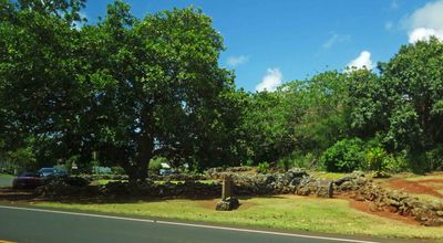 Lava rock walls in Wailua State Park (Kauai) were most likely erected in the 1600's
