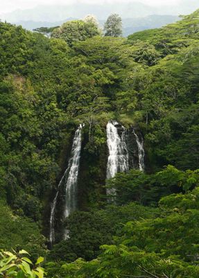 150-foot Opaekaa Falls (Opaekaa means 'rolling shrimp' which were once abundant in the stream
