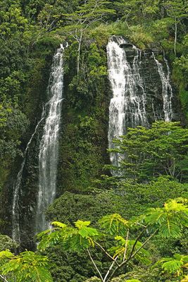 Close-up of Opaeka'a Falls on the island of Kuaui, Hawaii