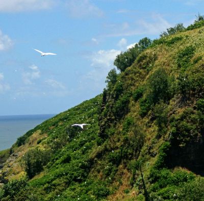 Kilauea National Wildlife Refuge is a bird sanctuary