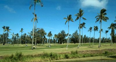 Golf course on the 'Coconut Coast' of Kuaui