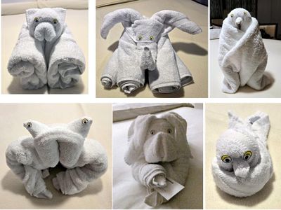 Towel Art from the trip
