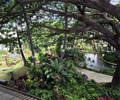 Gardens in Honolulu International Airport