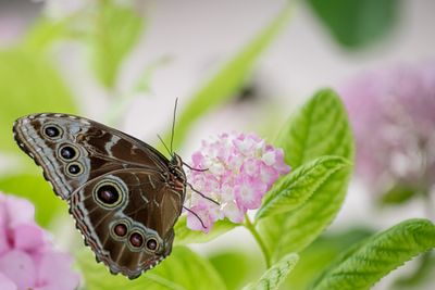 g13/60/665460/3/173722552.e3d18e55.JPEG