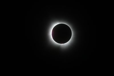 111A0437.jpg
