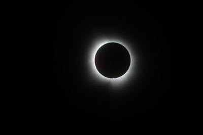 111A0438.jpg