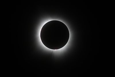 111A0439.jpg