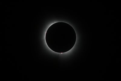 111A0441.jpg