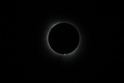 111A0442.jpg