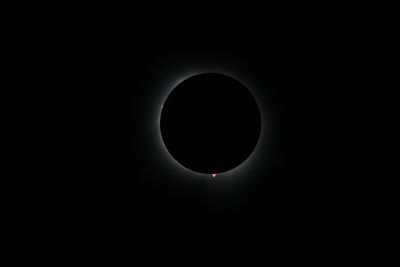 111A0443.jpg