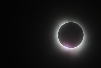 111A0445.jpg