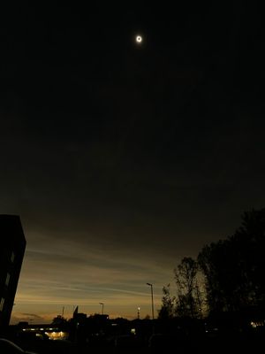 IMG_6634.jpg