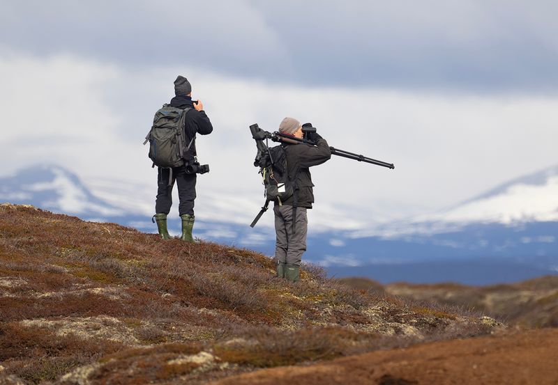 Norrbotten & Lappland 2-6:e juni 2023